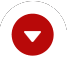 Red circle with an inverted white triangle in the center